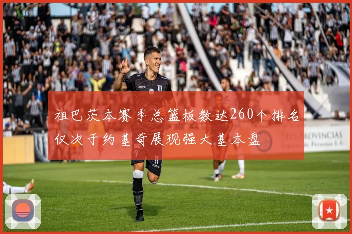 祖巴茨本赛季总篮板数达260个排名仅次于约基奇展现强大基本盘